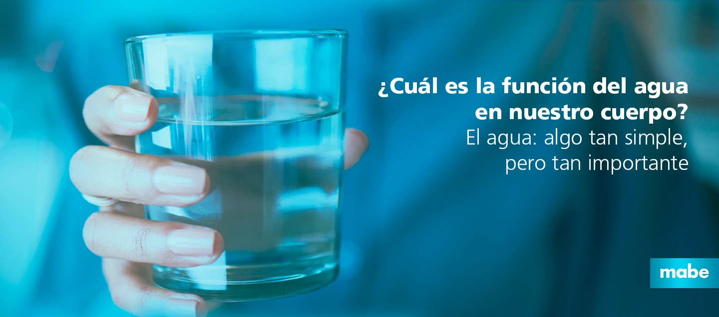 Vaso con agua potable sostenido por una mano, representando los beneficios del agua para la salud y la función del agua en el cuerpo humano.